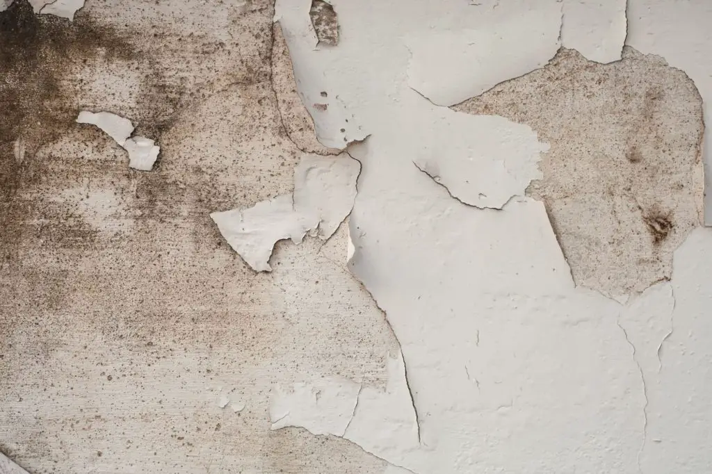 Loose paint in a house